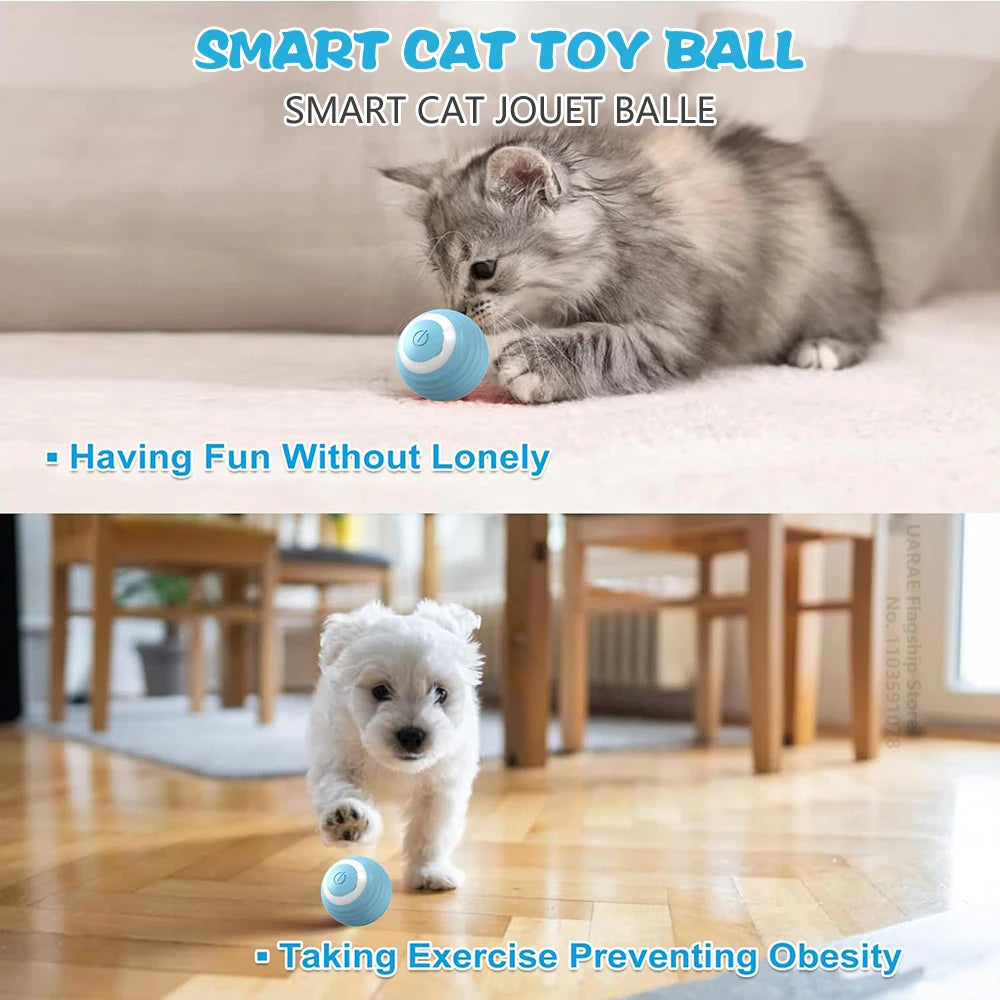 Interactive Automatic Cat Ball | Different Colours