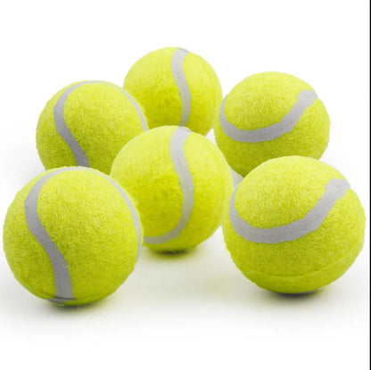 6-Pack Dog Tennis Balls - Perfect Fetch Toy for Puppies and Small Dogs