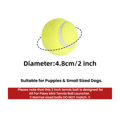 6-Pack Dog Tennis Balls - Perfect Fetch Toy for Puppies and Small Dogs