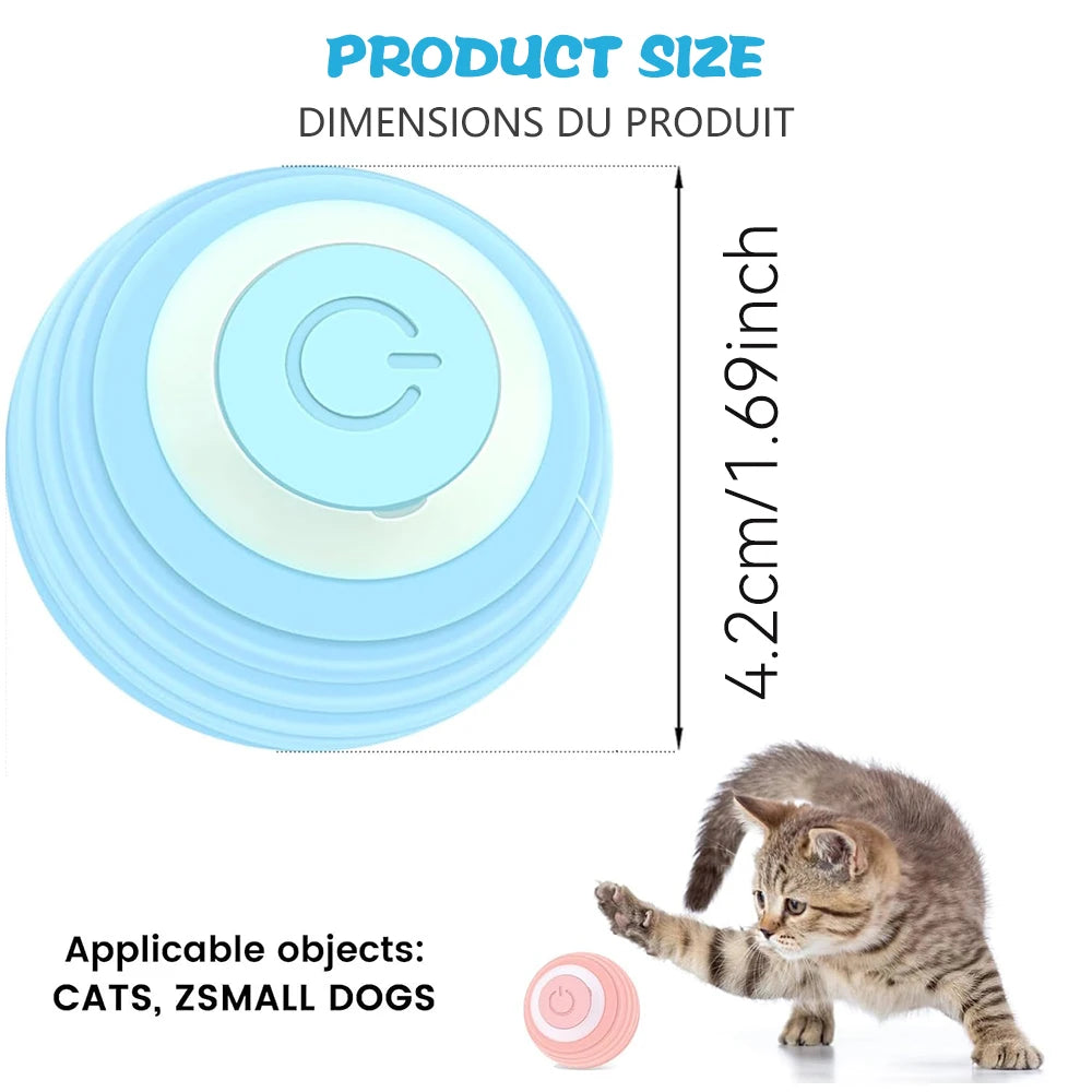 Interactive Automatic Cat Ball | Different Colours