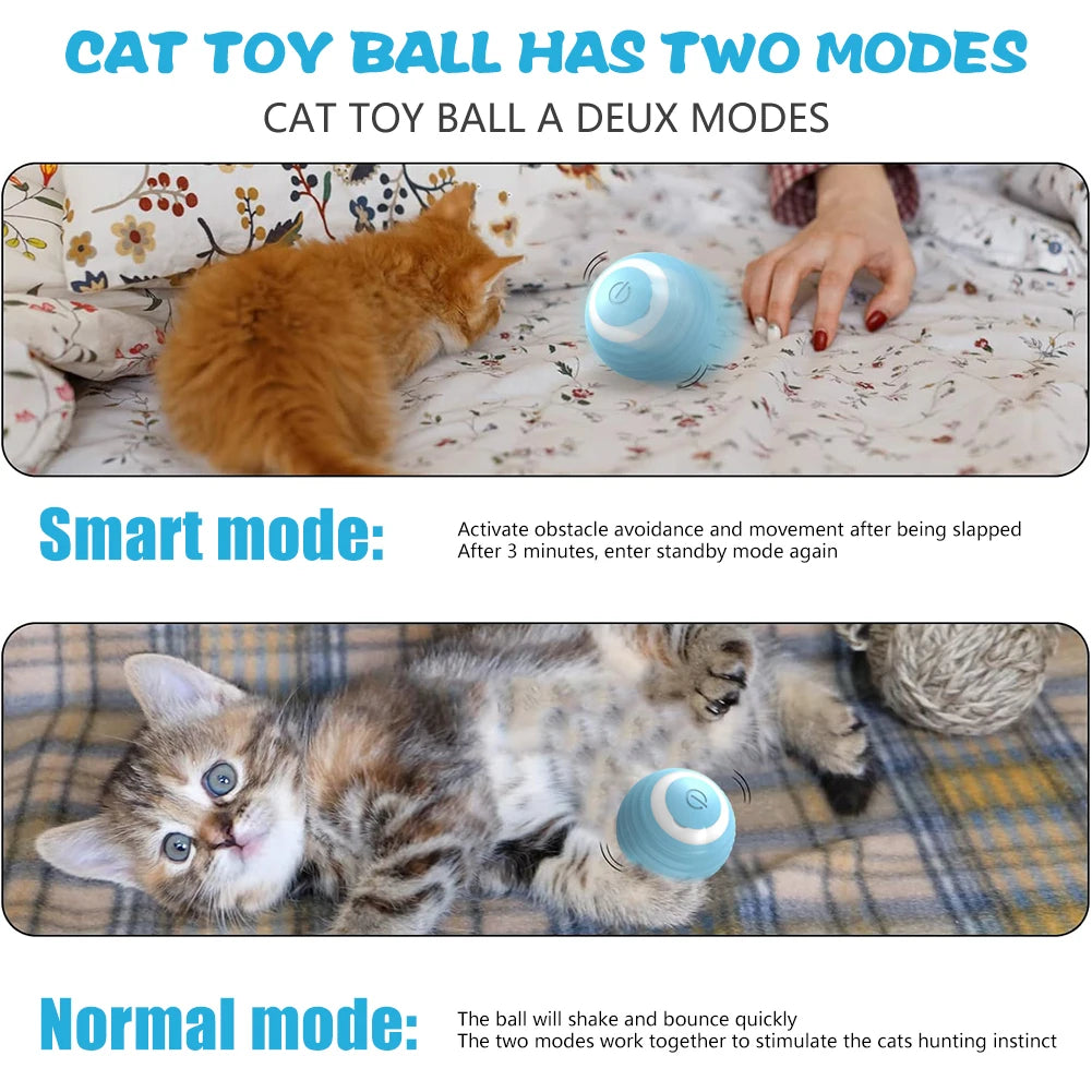 Interactive Automatic Cat Ball | Different Colours