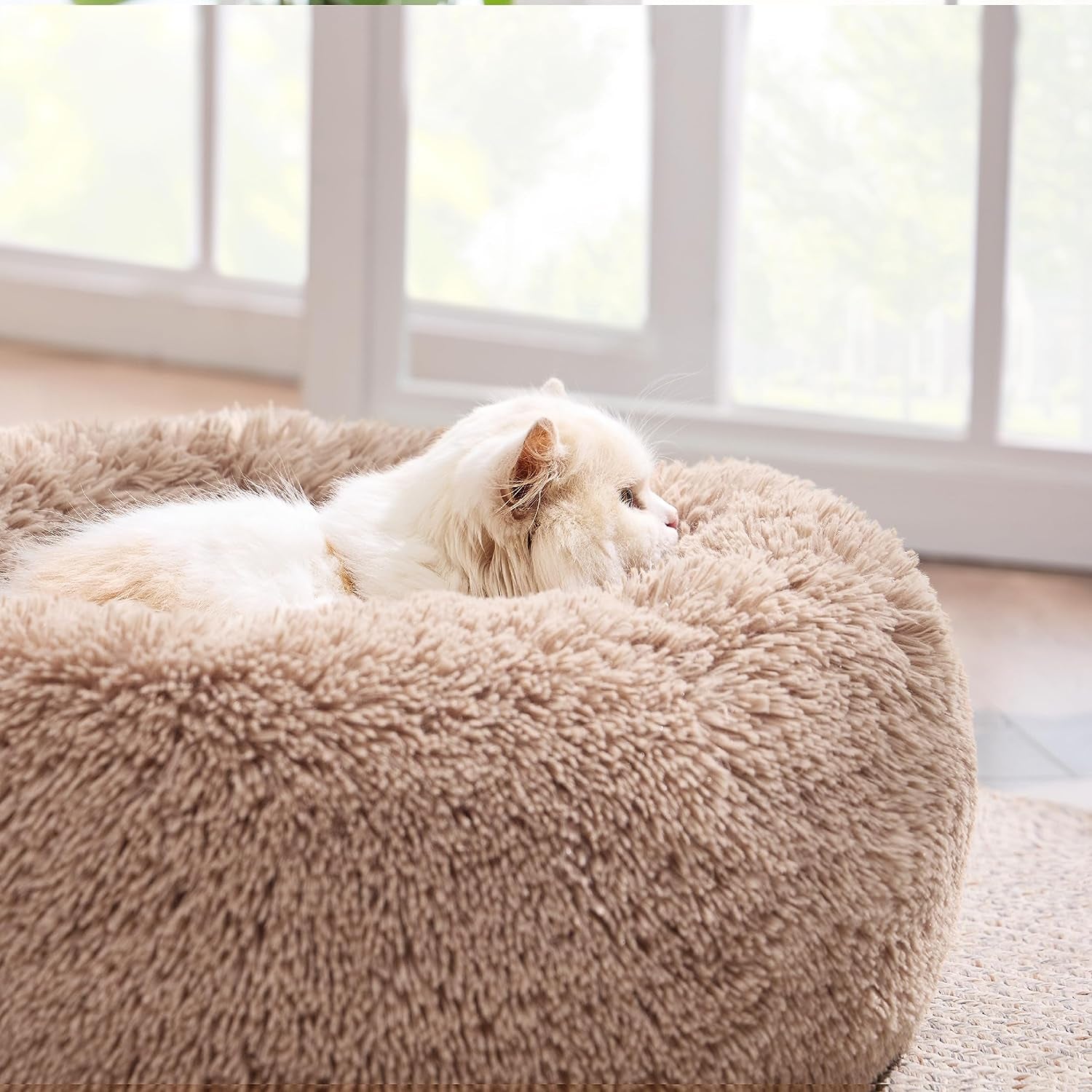 Small and Washable Cat Bed 20 Inches - Round and Fluffy for small pets