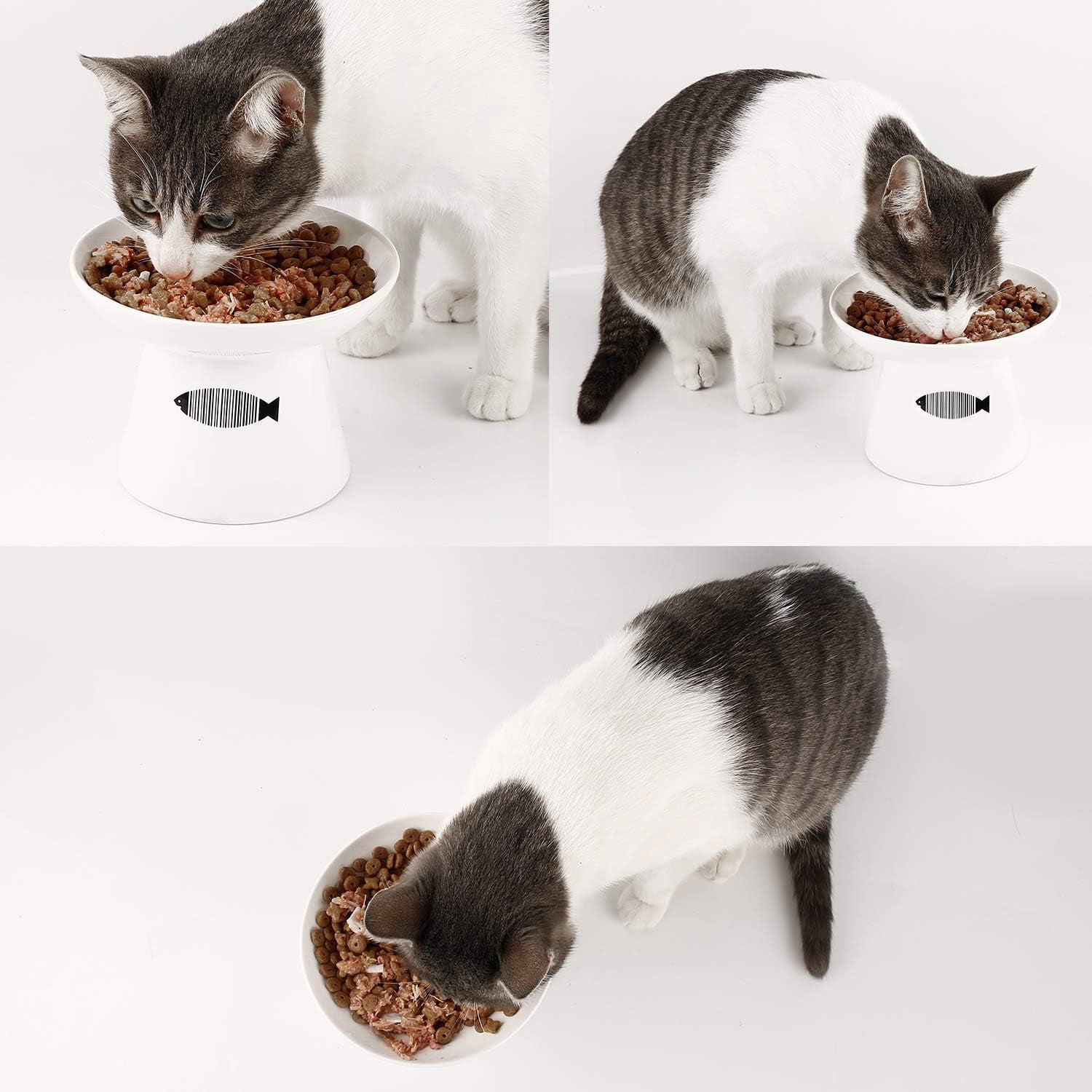 Premium Ceramic Food/Water Bowl for Cats with Stand